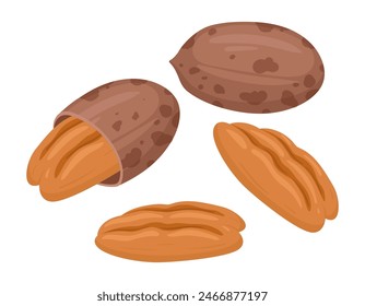 Cartoon pecans. Delicious tasty pecan snack, raw pecans in shell flat vector illustration. Crunchy pecan nuts on white