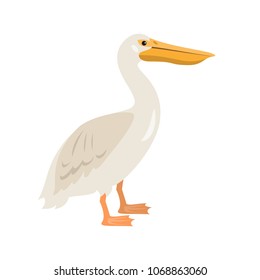 Cartoon pelican icon on white background. Vector illustration.