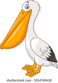 Cartoon pelican isolated on white background
