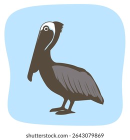 Cartoon pelican stands illustrated against light blue backdrop graphic