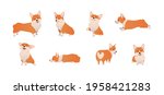 Cartoon Pembroke Welsh Corgi illustration set in different poses. Cute sitting, running and lying vector dog isolated on white background