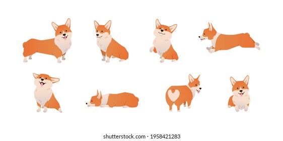 Cartoon Pembroke Welsh Corgi illustration set in different poses. Cute sitting, running and lying vector dog isolated on white background