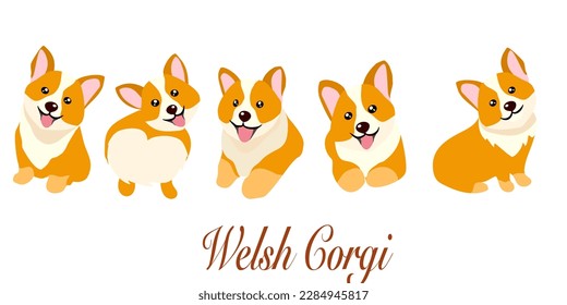 Cartoon Pembroke Welsh Corgi illustration set in different poses. Cute sitting, running and lying vector dog isolated on white background