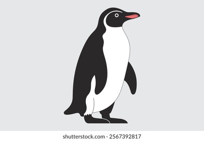 Cartoon  Penguin illustration vector art on white background
