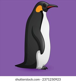 Cartoon penguin isolated character design illustration