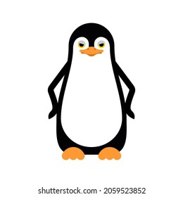 Cartoon Penguin isolated.  flightless seabird. vector illustration