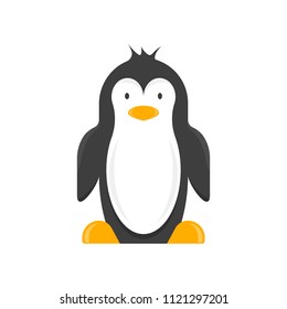 A cartoon penguin. Vector illustration on white background.