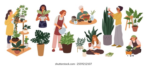 Cartoon people take care of indoor plants. Home gardening. Man watering houseplant in greenhouse. Woman transplanting ficus into flowerpot. Prune and spray flowers