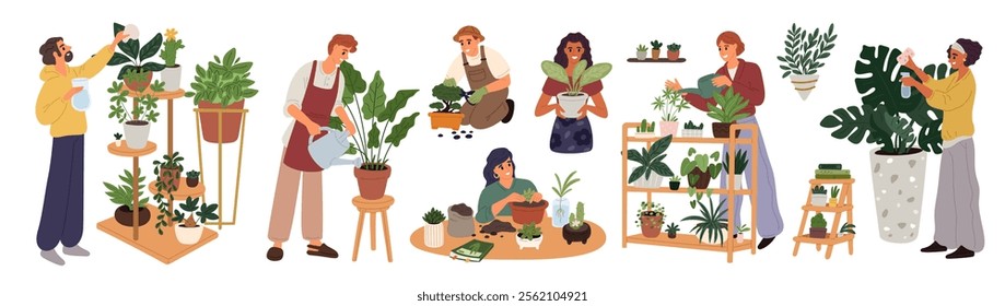 Cartoon people take care of indoor plants. Home gardening. Man watering houseplant in greenhouse. Woman transplanting ficus into flowerpot. Gardeners prune flowers