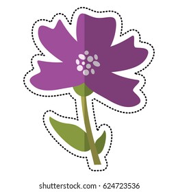 cartoon periwinkle flower decoration image