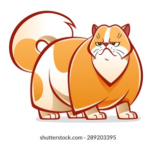 Cartoon Persian cat on the white background.