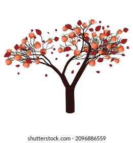 Cartoon Persimmon tree with ripe fruits and colorful leaves.