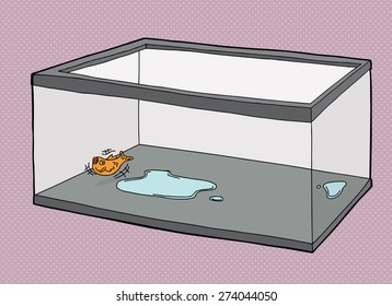 Cartoon of pet goldfish dying in empty fish tank