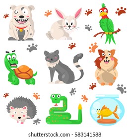 Cartoon pets colorful collection with their footprints on white. Vector poster of domestic animals living with people, green parrot and snake, grey cat and hedgehog, golden fish, light hare.