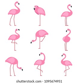 Cartoon pictures of exotic pink bird flamingo. Vector illustrations isolate. Animal nature cartoon, wildlife drawing collection