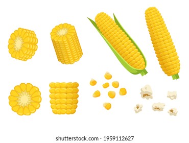 Cartoon pieces of corn vector illustrations set. Cobs and grains or seeds of corn, popcorn, yellow vegetable isolated on white background. Food, farming, agriculture concept