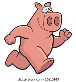 Cartoon Pig