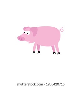 Cartoon Pig In Flat Style. Isolated Vector