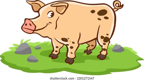 Cartoon pig isolated on white background