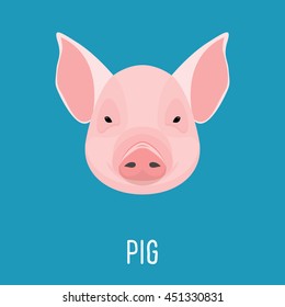 Cartoon pig portrait isolated on blue. for card, book, invitation, poster, banner. Farm domestic animal.