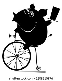 Cartoon pig rides a vintage bike illustration. Smiling cute piggy with top hat rides a penny farthing and looks healthy and happy black on white illustration
