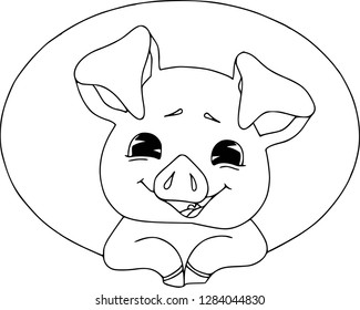 Cartoon pig set. Funny pig icons and action, cute animal poses vector isolated symbol illustration. Portrait in a frame