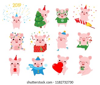Cartoon pig, symbol of chinese 2019 new year in different poses. Big set of pig characters for seasonal greetings and message