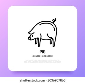 Cartoon pig thin line icon. Modern vector illustration for Chinese horoscope.