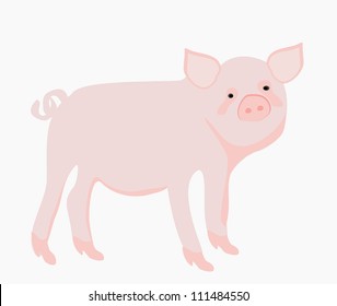  Cartoon pig. Vector illustration.