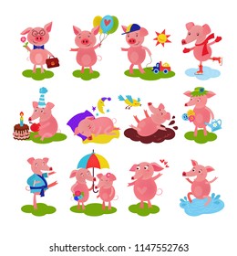 Cartoon pig vector piglet or piggy character on birthday and pink piggy-wiggy playing in puddle illustration piggish set of piggery couple and pigling baby isolated on white background