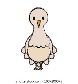 cartoon pigeon bird icon over white background colorful design vector illustration