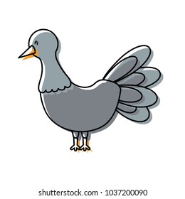 cartoon pigeon bird icon over white background colorful design vector illustration