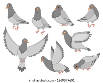 Cartoon pigeon. City dove bird, flying pigeons and town birds doves. Wild or domestic gray fly or standing dove birds. Birdie isolated vector illustration icons set