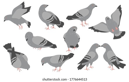 Cartoon pigeons flat icon set. Cute flock of city gray doves flying, standing, sleeping, pecking vector illustration collection. Birds and fauna concept