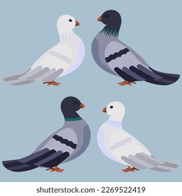 Cartoon pigeons, white and grey. Light blue background. Vector illustration