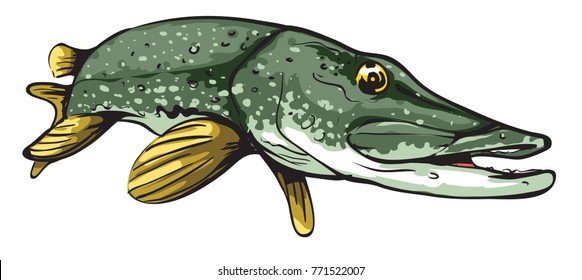 Cartoon Pike fish - vector illustration