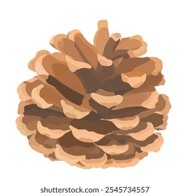 Cartoon Pine Cone, vector forest illustration isolated on white background.