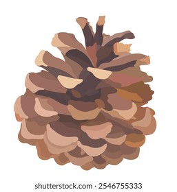 Cartoon Pine Cone, vector forest illustration isolated on white background.