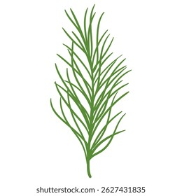 Dessin animé Branche de pin dans un style dessiné à la main. Décoration de branche d'épicéa pour cadres et couronnes de Noël, cartes. Nature ornementale. Symbole de sapin mignon. Fêtes rameau plat vert