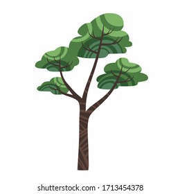 Cartoon pine tree isolated on white background vector. Stylized fabulous cute tree with an ornament, stock flat style illustration.