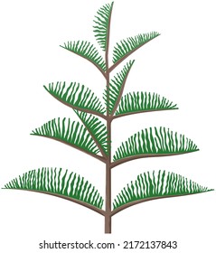 Pino de dibujos animados sobre fondo blanco. Planta forestal de coníferas. Icono verde de árbol de Navidad. Símbolo de Navidad y Año Nuevo, planta de abeto, ilustración de pinares eververdes, naturaleza silvestre, botánica