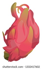 Cartoon pink dragonfruit vector illustration on white background.