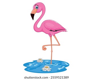 Cartoon pink flamingo bird vector illustration