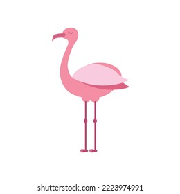 Caricatura de flamingo rosa vector plano aislado sobre fondo blanco. Ilustración vectorial de icono de flamenco. Diseño plano de flamencos. Vector de aves tropicales. Símbolo animal de corte  