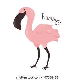 Cartoon pink flamingo isolated on white background. Exotic tropical plumage. Wading bird in the family Phoenicopteridae. Fauna. Part of series of various bird species. Wildlife concept. Vector