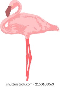 Cartoon of a pink flamingo. Vector illustration.