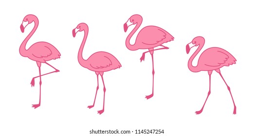 Cartoon pink flamingo vector set Cute flamingos collection Flamingo character animal exotic nature wild fauna illustration