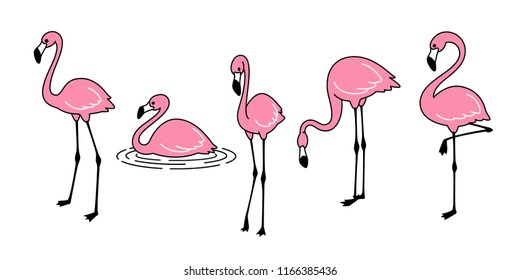 Cartoon pink flamingo vector set Cute flamingos collection Flamingo character animal exotic nature wild fauna illustration doodle