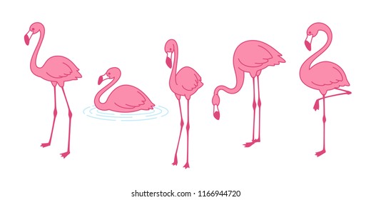 Cartoon pink flamingo vector set icon Cute flamingos collection Flamingo character animal exotic nature wild fauna illustration doodle