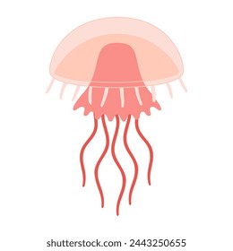 Cartoon Pink jellyfish flat style. Medusa vector illustration. Modern flat illustration Jellyfish isolated on white background. Vector illustration